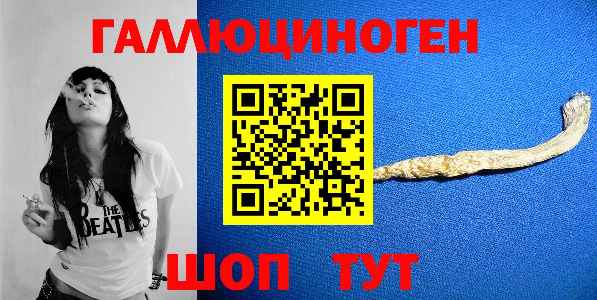 Пугачёв  Псилоцибиновые грибы GOLDEN TEACHER  Вход с VPN 