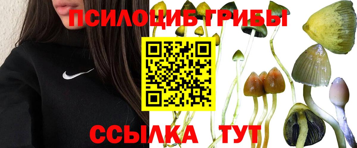 Галлюциногенные грибы мицелий Пугачёв